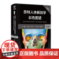 奈特人体解剖学图谱 第8八版人卫彩色局部耐特系统格氏骨骼结构神经临床基础教材生理外科内科法医解刨解破医学类医学书籍解剖解