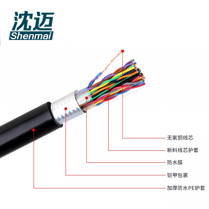 沈迈 线缆 HYA-100*2*0.5(1米)高清大图
