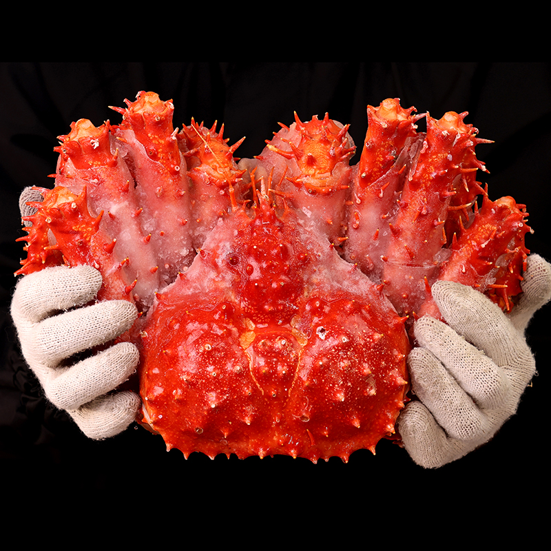 智利帝王蟹礼盒装鲜活熟冻大螃蟹生鲜海产海鲜 2000g+