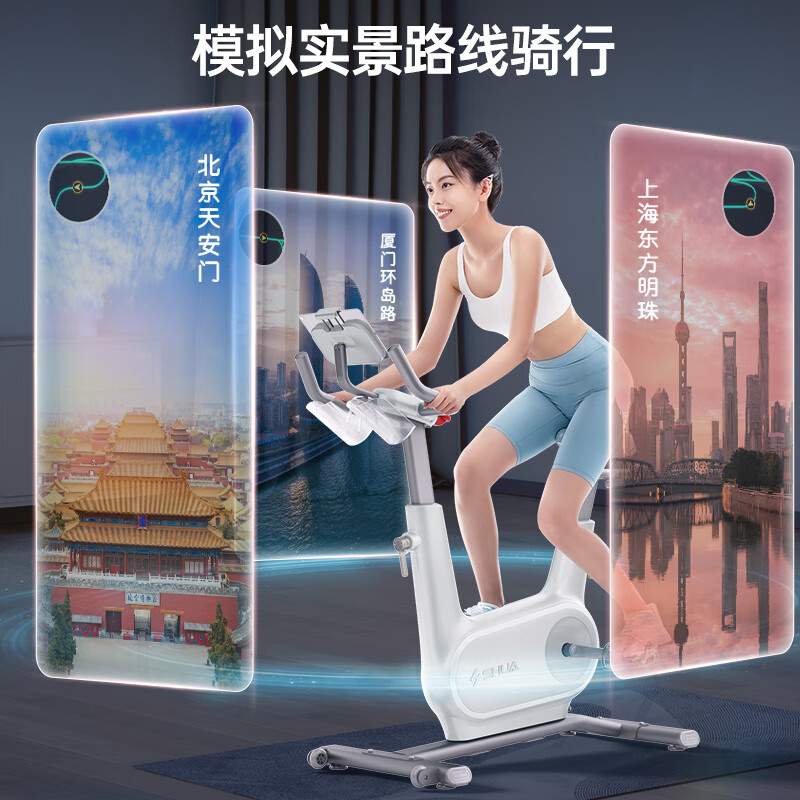 舒华(SHUA)精灵动感单车家用室内健身自行车减肥运动单车健身器健身器材B369 自发电版-Pro钻石白丨自行装高清大图