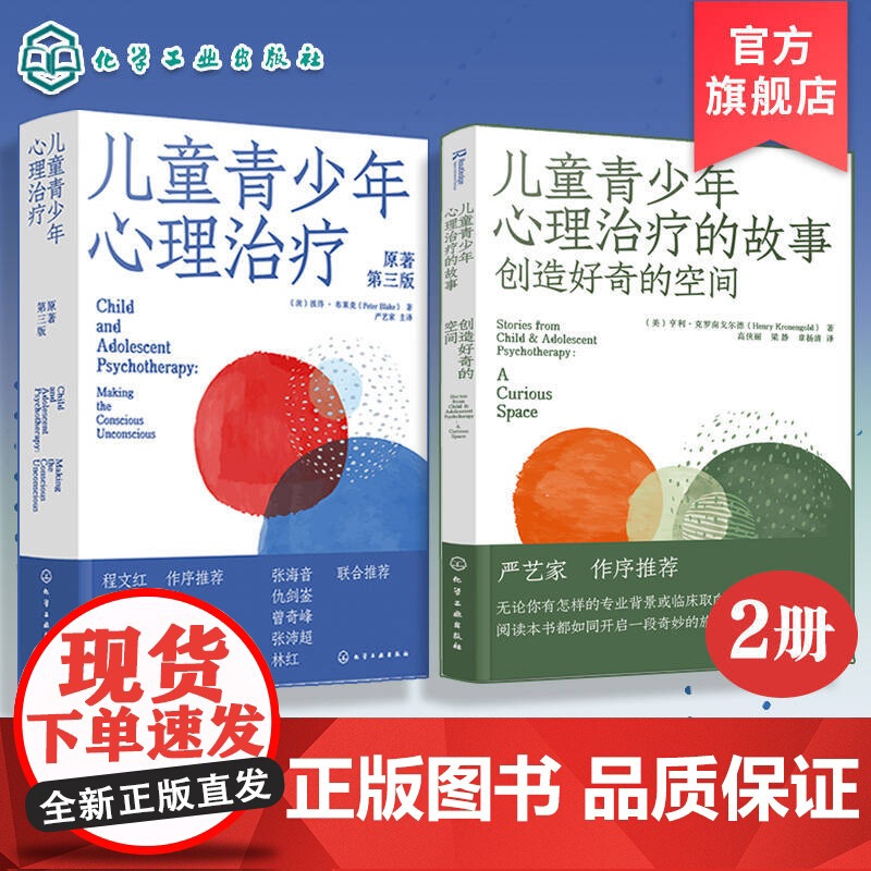 2册 儿童青少年心理治疗+儿童青少年心理治疗的故事 创造好奇的空间 心理咨询案例治疗故事儿童心理学读物年临床实践经验疗高清大图