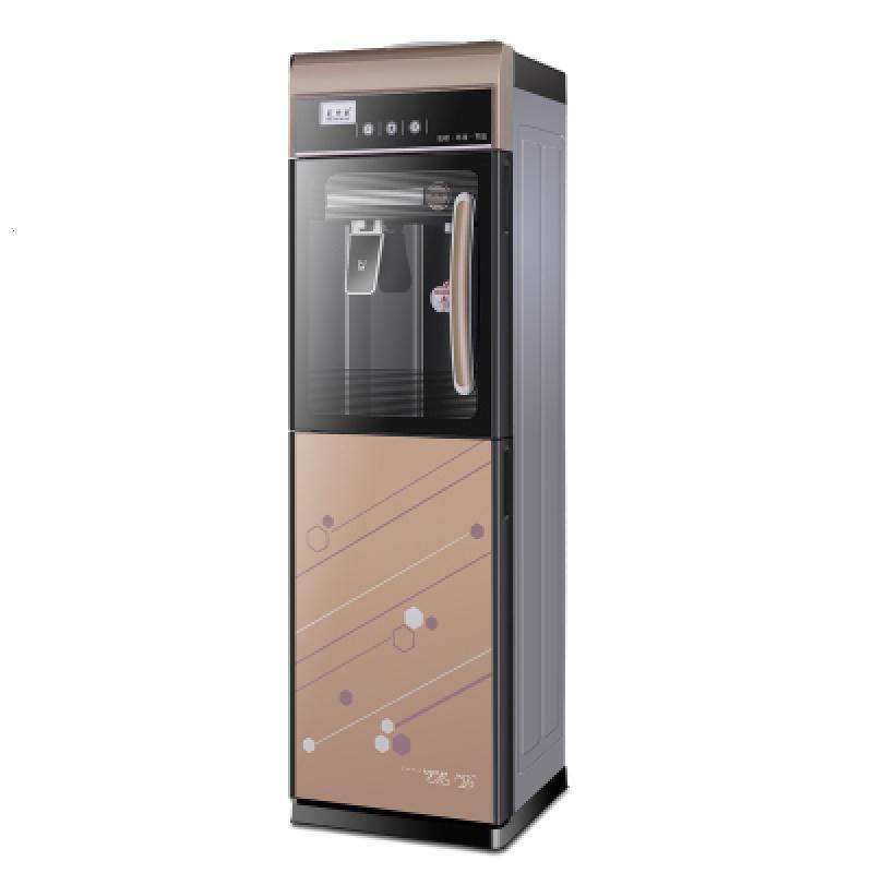 饮水机立式家用厨房办公冷热制冷制热冰热双节能净饮机