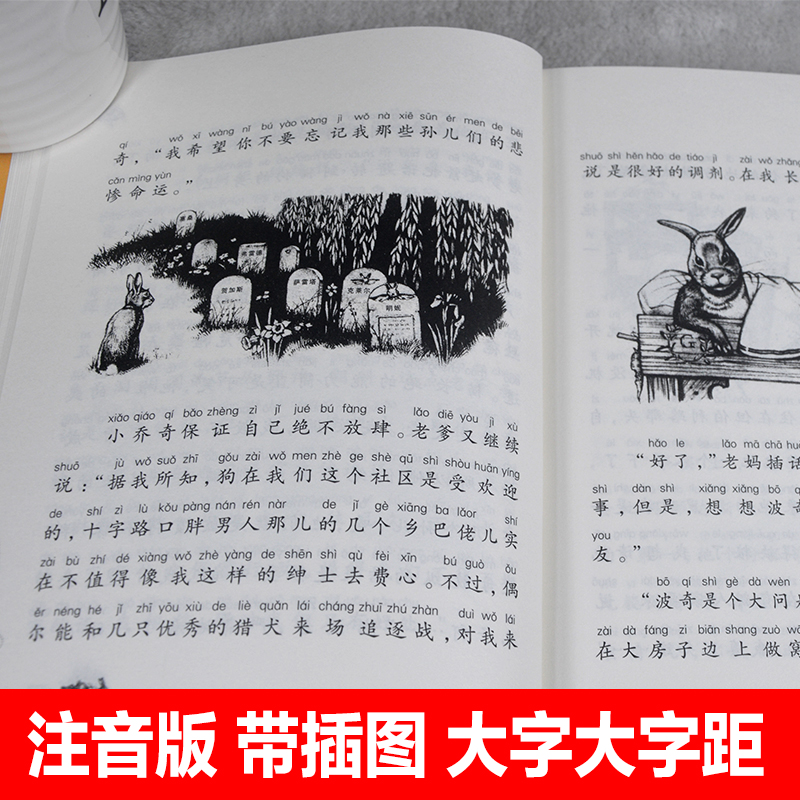 [国际大奖注音版2]全套5册 [正版]新蕾出版社坡注音版国际大奖小说小学生一二三年级课外书必读下册老师阅读外国儿高清大图