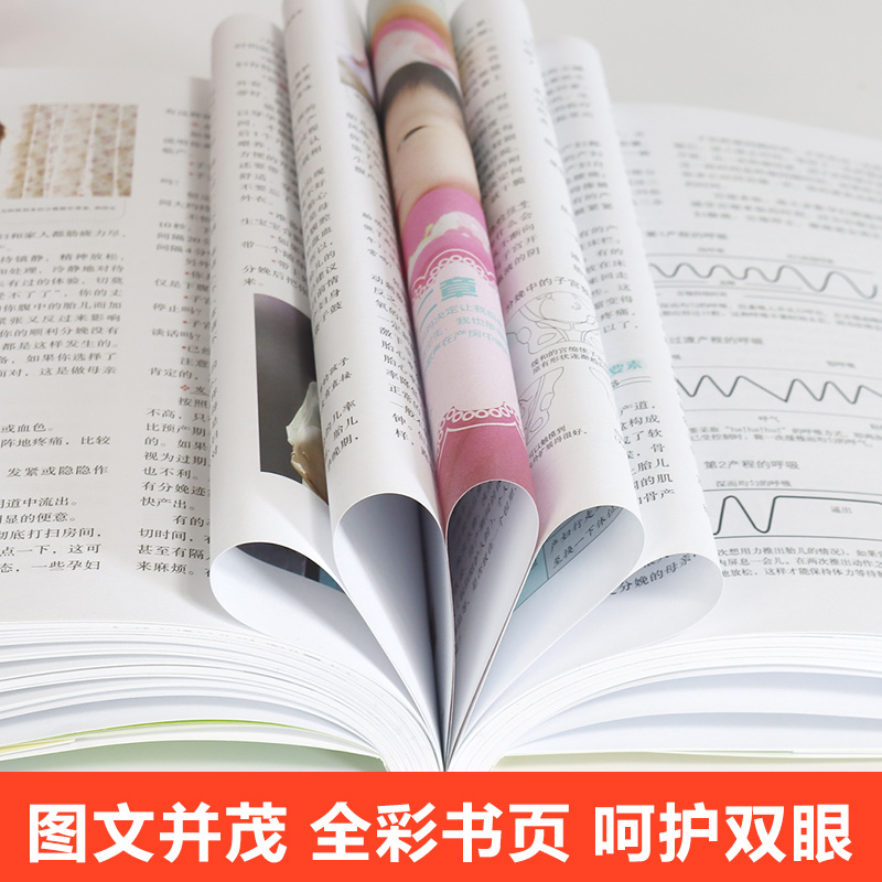 [醉染正版]郑玉巧育儿经胎儿卷 全新修订彩色版 中国科普育儿经典怀孕 怀孕育儿科普百科图书 孕妇准爸妈一定要看的书 胎教高清大图