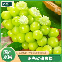 顺丰冷链[苏鲜生]阳光玫瑰葡萄 净重3斤 单果8-10g 青提子 应当季脆甜新鲜水果 孕妇 整箱