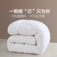 水星家纺出品百丽丝七孔纤维抗菌被春秋被冬被安多弗