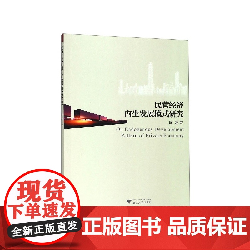 民营经济内生发展模式研究高清大图