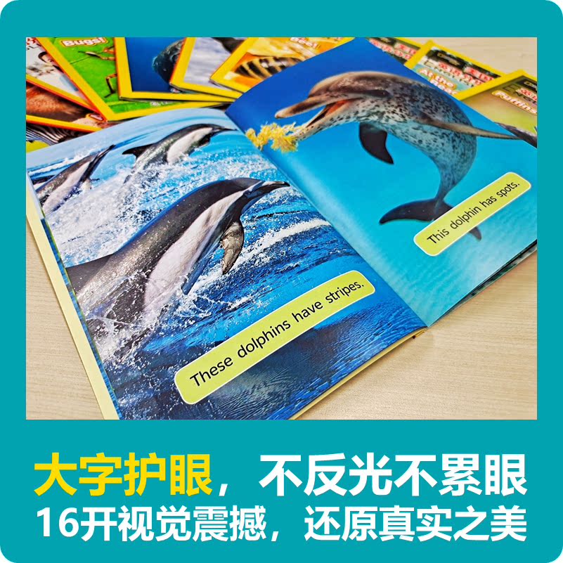 [正版]点读版美国国家地理英语分级读物第1级全套30册 儿童英语分级阅读第一级 ket单词训练营 点读笔英语词汇语法通用高清大图