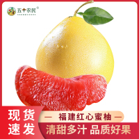[五个农民]福建平和琯溪红心柚5斤装(2个)果园直发红肉蜜柚当季新鲜水果