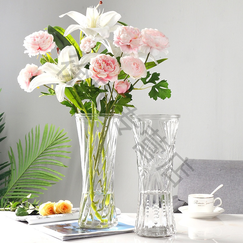 简约大号透明大口玻璃花瓶水培百合富贵竹鲜花插花瓶客厅家用摆件30圆口郁金香大报价 参数 图片 视频 怎么样 问答 苏宁易购