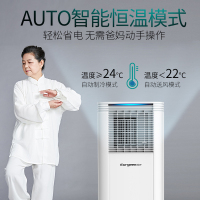 欧井(OUjing)移动空调/空调扇OJKY-05C 小1P 单冷 家用厨房免装免排水 移动式空调