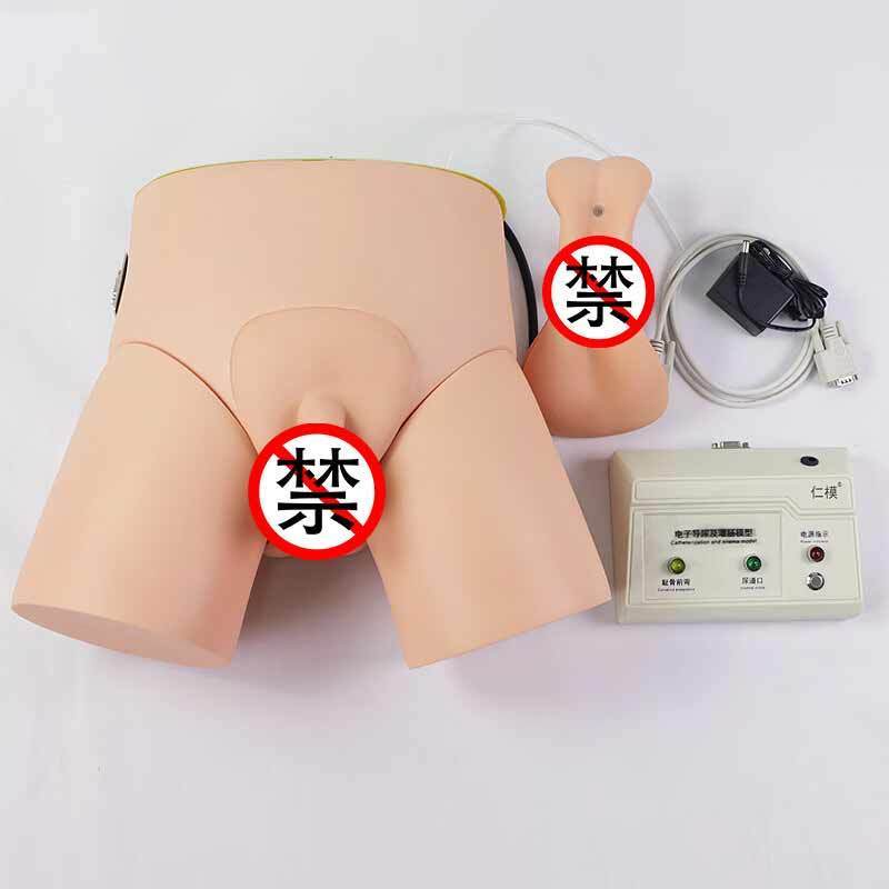 医学教学模型