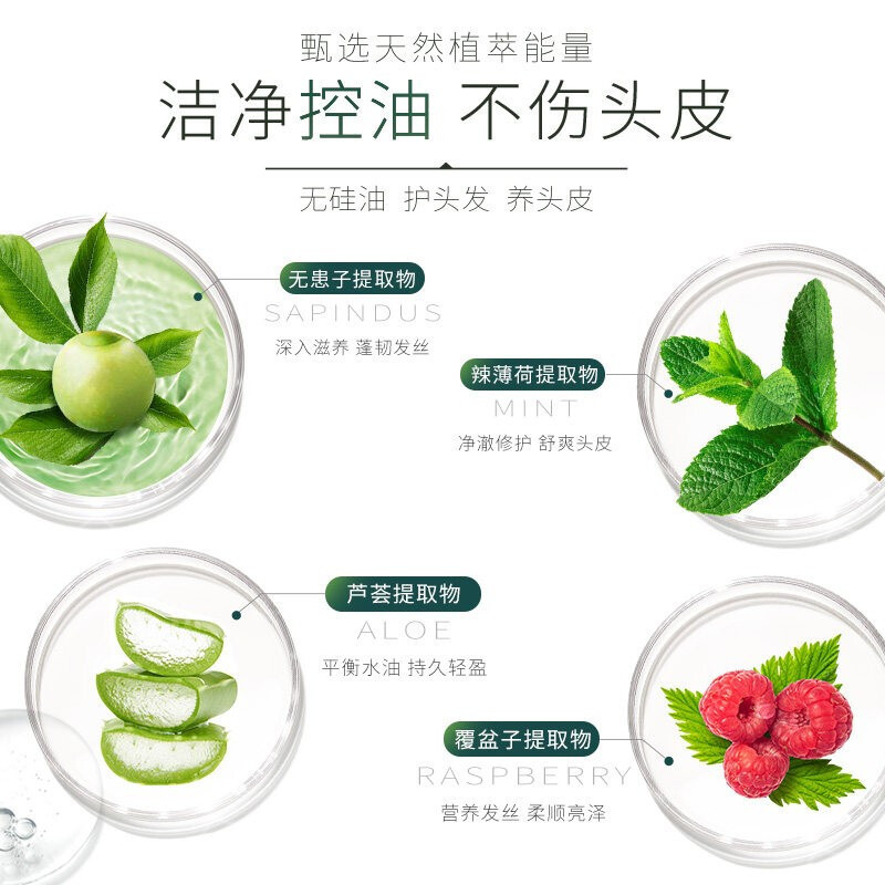 滋源无患子洗发水露液乳控油清爽套装535ml*2去油洗头水膏(适合油性,赠品随机)