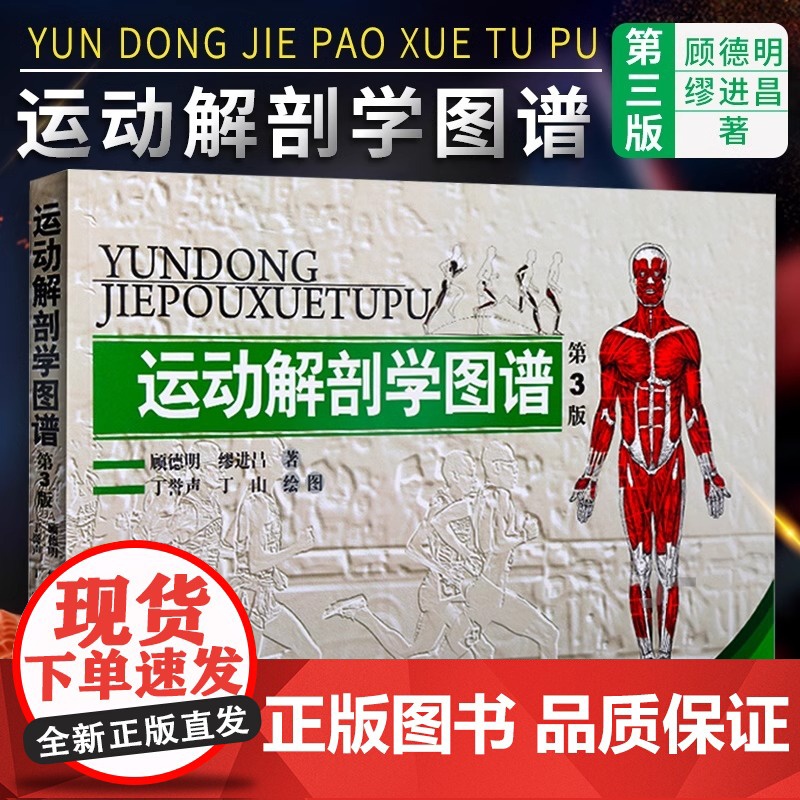 【正版】运动解剖学图谱 第3版 人民体育出版社运动解刨学运动医学书运动训练力量健身人体肌肉全面解剖图谱体育医学专业书籍