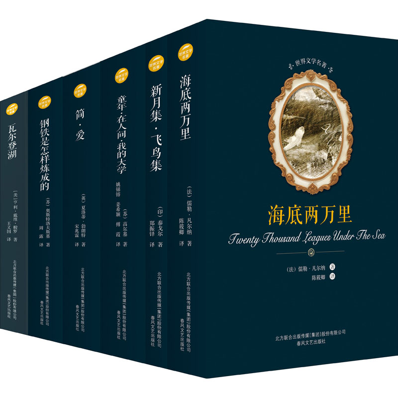 [M]童年+简爱+海底两万里+钢铁是怎样炼成的+瓦尔登湖+新月集·飞鸟集(全6册)-9787531352129高清大图