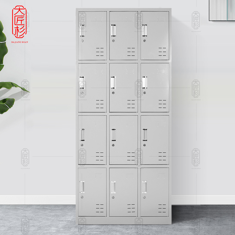 大匠杉 更衣柜储物柜加厚十二门 DYG20112高清大图