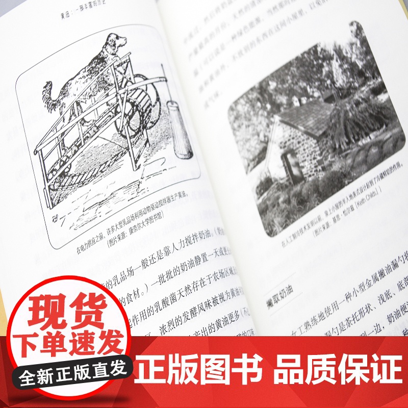 黄油 : 一部丰富的历史 正版书籍高清大图