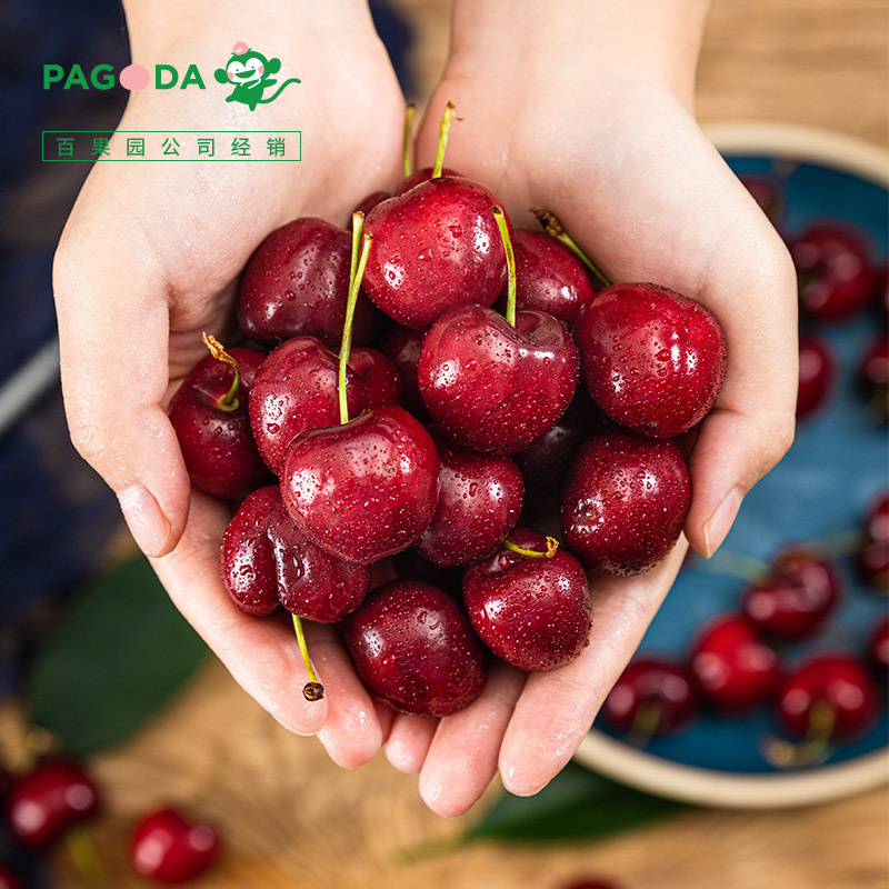 百果园公司b级进口车厘子中jj约5斤装单果直径28mm30mm春节年货智利产