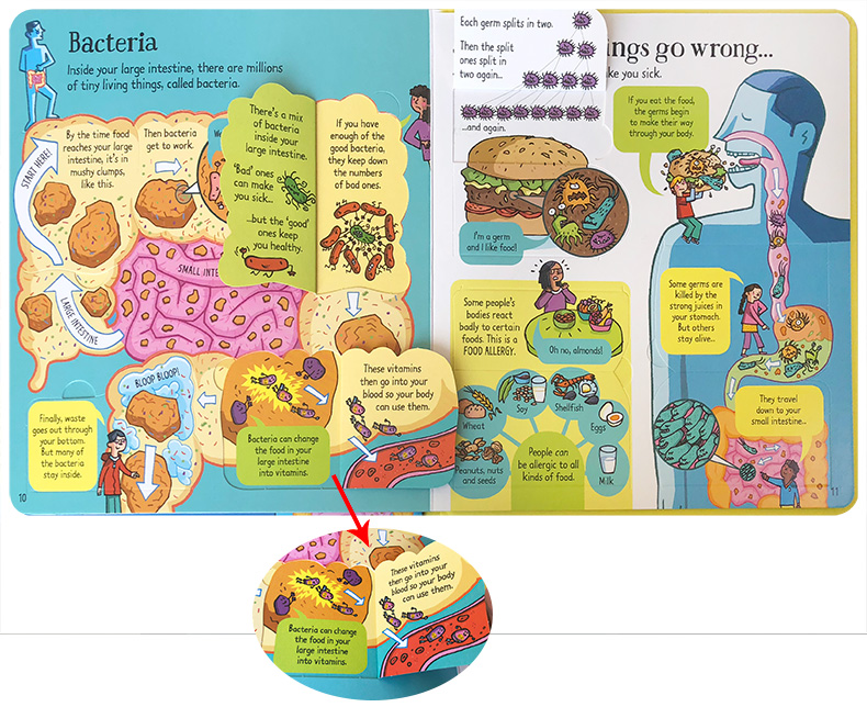 [正版]英文原版纸板书 Look Inside What Happens When You Eat看看你吃东西的时候会发高清大图