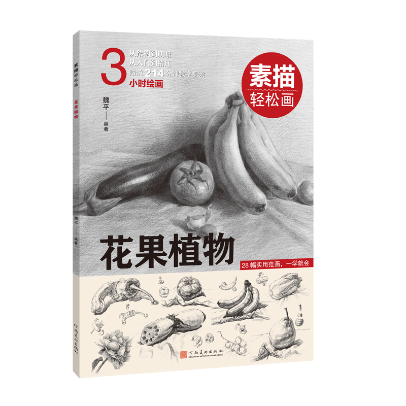 醉染图书素描轻松画:花果植物9787540155209高清大图