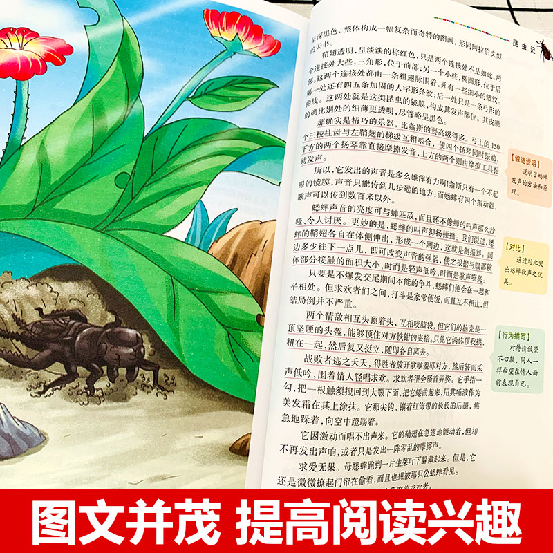 [正版]昆虫记法布尔原著小学生阅读课外书三四年级必读经典书目五六年级下册人教版山东美术出版社青少年版儿童故事书原著完整高清大图