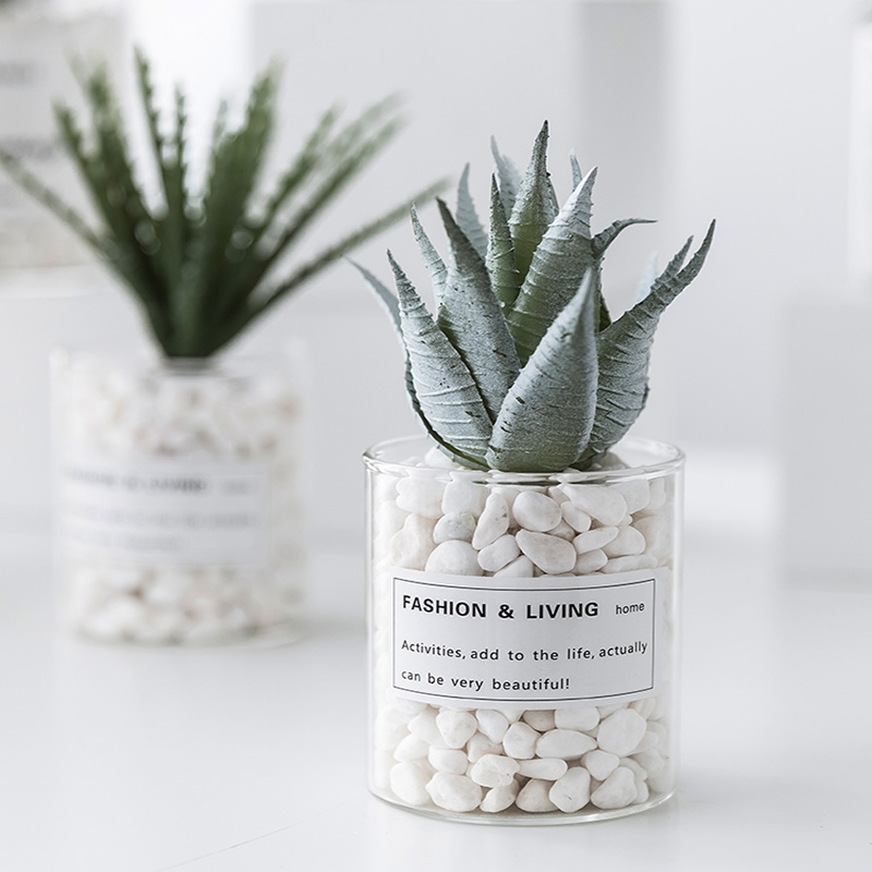 回固多肉植物ins北欧盆栽仙人掌绿植装饰假花桌面小摆件室内客厅