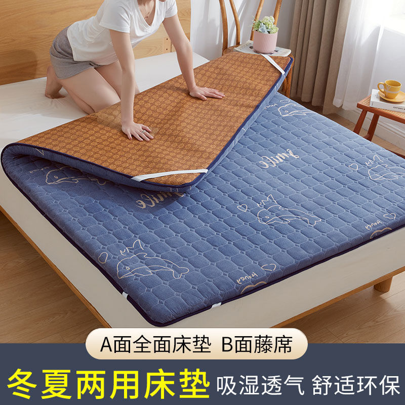 床垫子软垫加厚宿舍单人垫被冬夏季凉席两用折叠垫褥子家用 海豚4cm-凉席床垫双面可用 150*190cm双人床双面可用