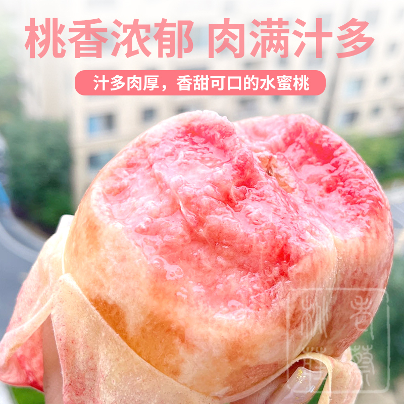 [顺丰空运]正宗江苏无锡阳山镇水蜜桃 单果 6-6.5两 8只 可撕皮滴水软桃 新鲜水果 桃子孕妇儿童可食用高清大图