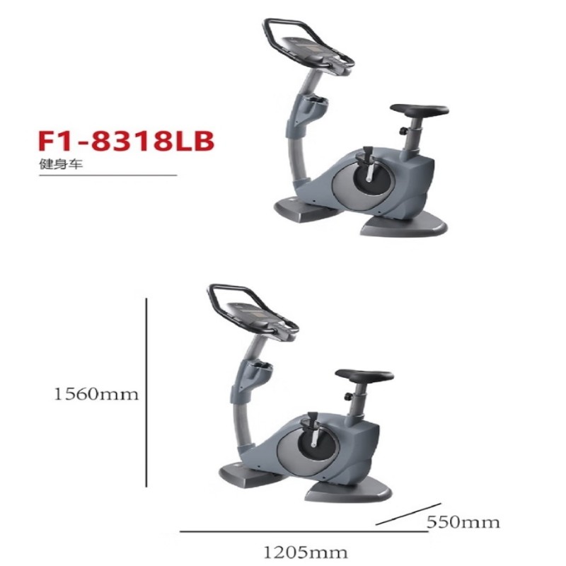 万年青 豪华商用立式健身车 F1-8318LB
