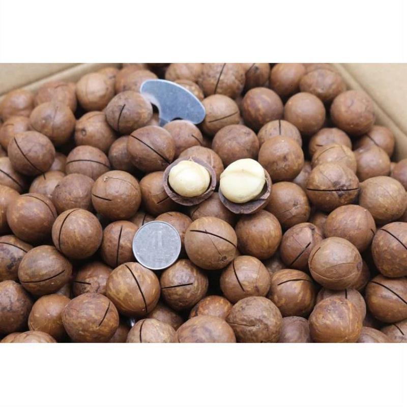 特级大夏威夷果2斤奶油味澳洲夏果坚果炒货零食品整箱5斤批发