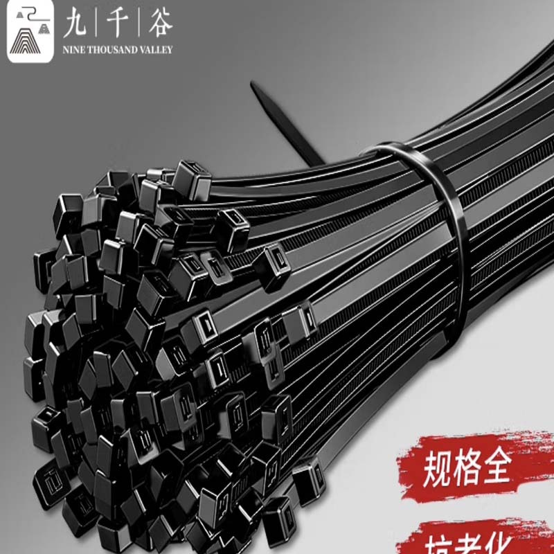 理线带 束线捆扎绑带 黑[2.5*200mm]约100根高清大图