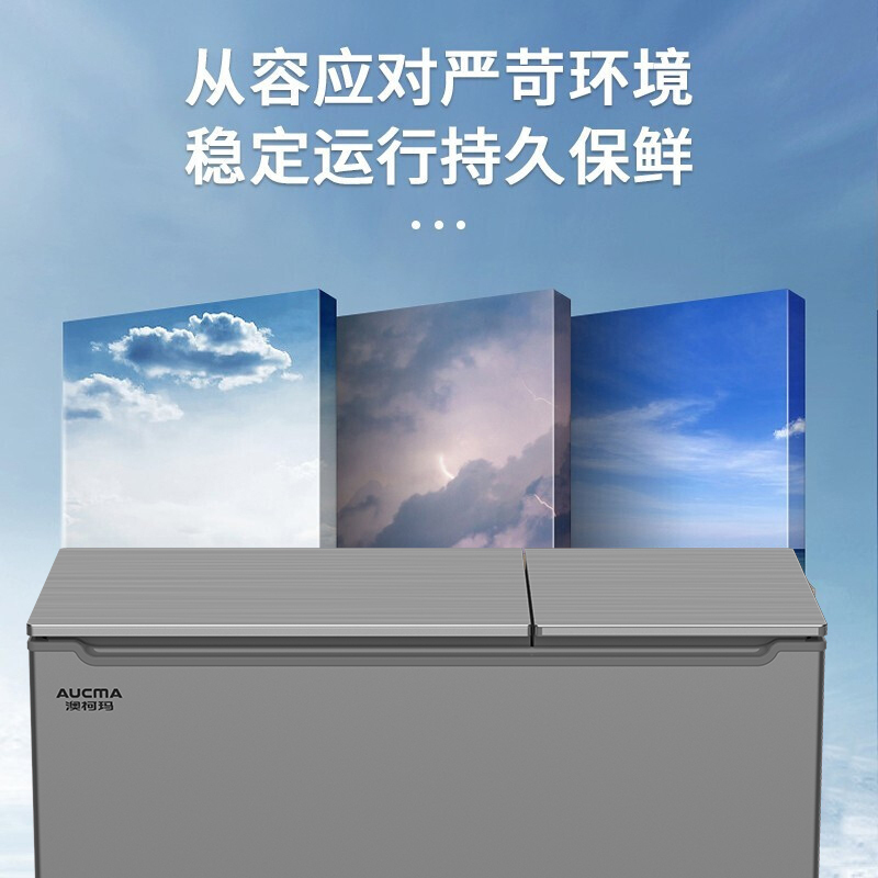 Aucma/澳柯玛BCD-216CGX家用小型双温冰柜铜管双门冷冻冷藏冷柜