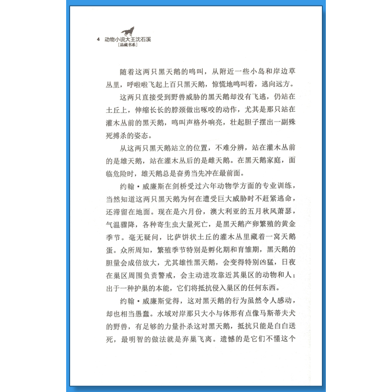 混血豺王 [正版]黑天鹅紫水晶沈石溪小学四年级五年级全集全套书浙江少年儿童出版社版完整版动物小说大王品藏书系生课外阅读经