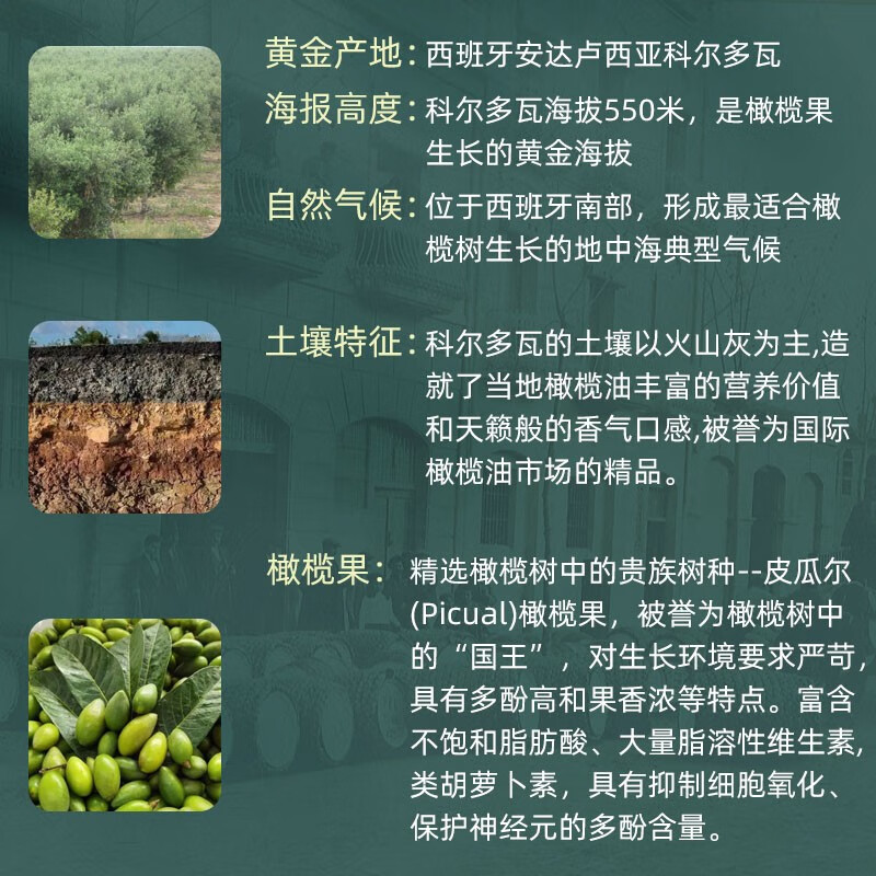 克莉娜特级初榨橄榄油 1L特级初榨高清大图