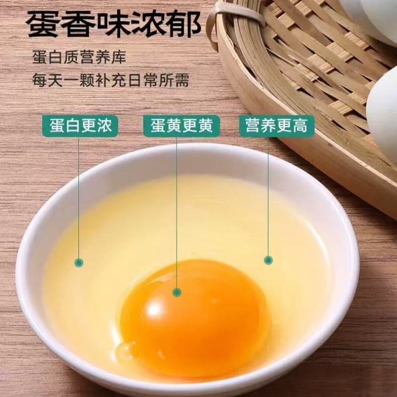 御佰秾 乌鸡蛋20枚泡沫盒+稻谷壳 YBN071高清大图