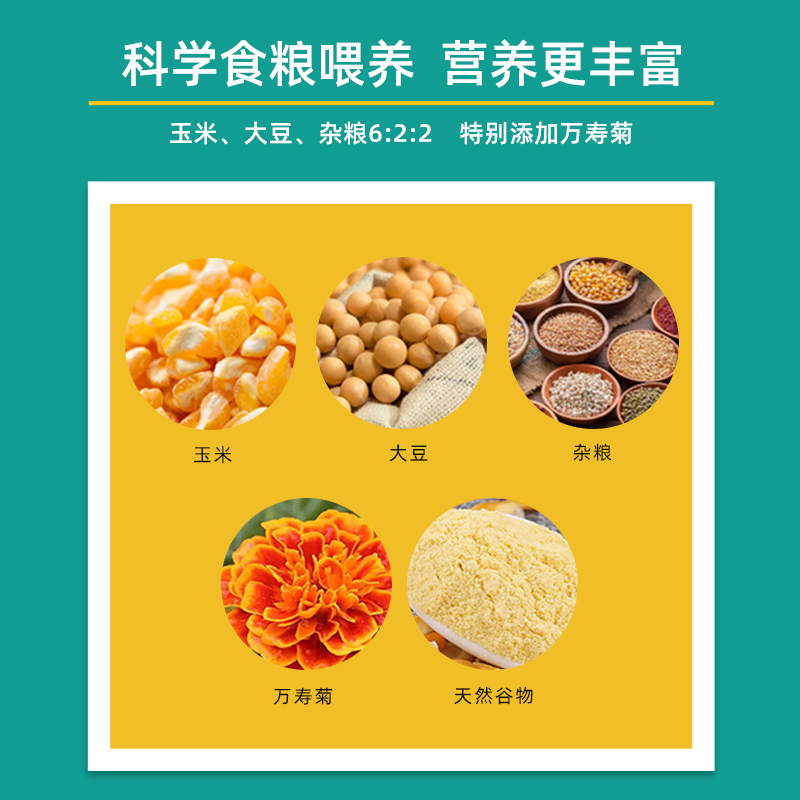 晋龙 叶黄素 可生食新鲜鸡蛋30枚高清大图