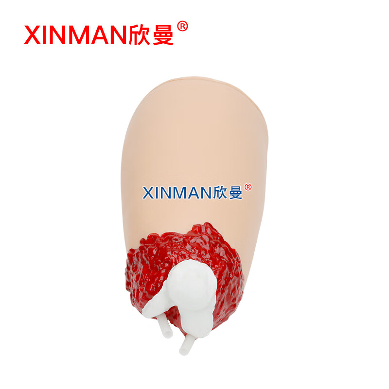 欣曼科教 交互式止血训练腿部模型 下肢控制出血大腿包扎止血模型 平板电脑控制出血模式XM-H608A高清大图