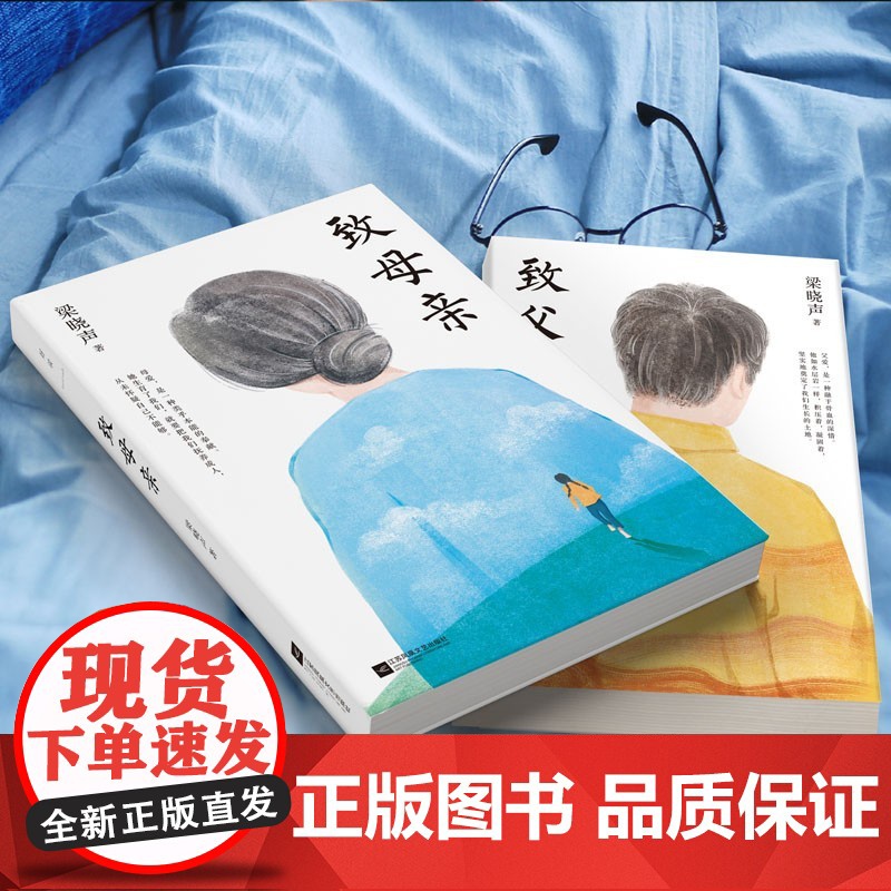 致母亲 梁晓声 著 文学高清大图