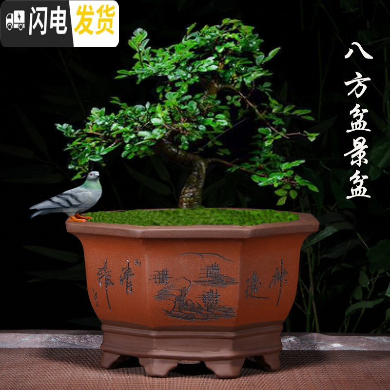 三维工匠紫砂花盆四方盆景盆栽花卉室内陶瓷盆八角梅花榕树盆景专用盆大号 抽角六方小号 尺寸如图,关注店铺优先发货花盆容器高清大图
