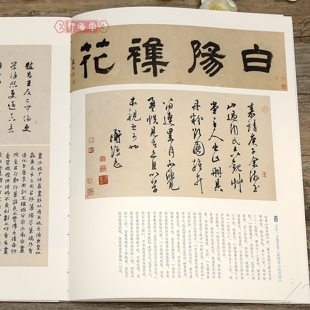 [正版]学海轩陈淳绘画名品中国绘画名品81洛阳春色图墨笔山水图技法牡丹画法书法越游诗卷印章等2张整幅作品装裱水墨画赏析高清大图