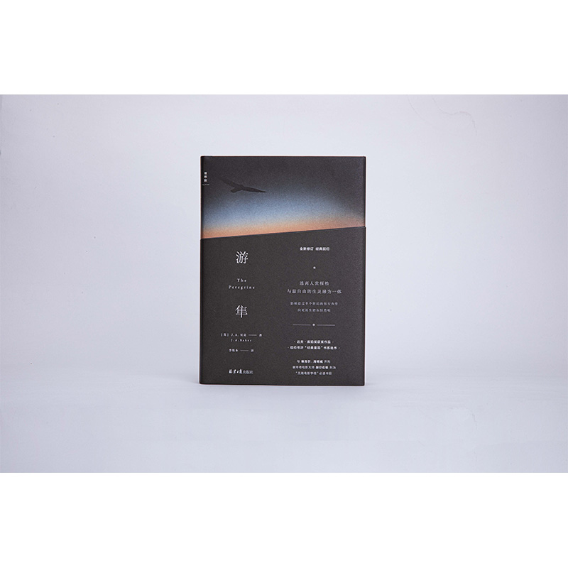 [正版] 游隼 J. A. 贝克 达夫·库珀奖 关于一个人渴望成为人以外的存在兼具纪录片的和散文诗的优美外国自然文学高清大图