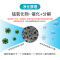 清科蓝杀菌抑菌甲醛清除剂活性炭新房装修净化除味去除甲醛甲醛分解盒 1套4盒装甲醛分解盒 除醛神器