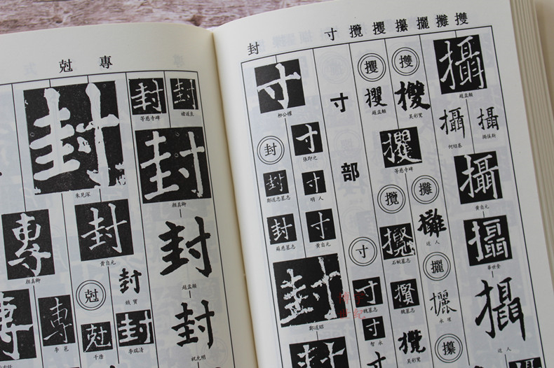 [正版] 楷书字典 中国名家书法字典楷书字典欣赏 书法工具书 大书法爱好者和各级各类学校师生使用书 楷体毛笔字帖高清大图