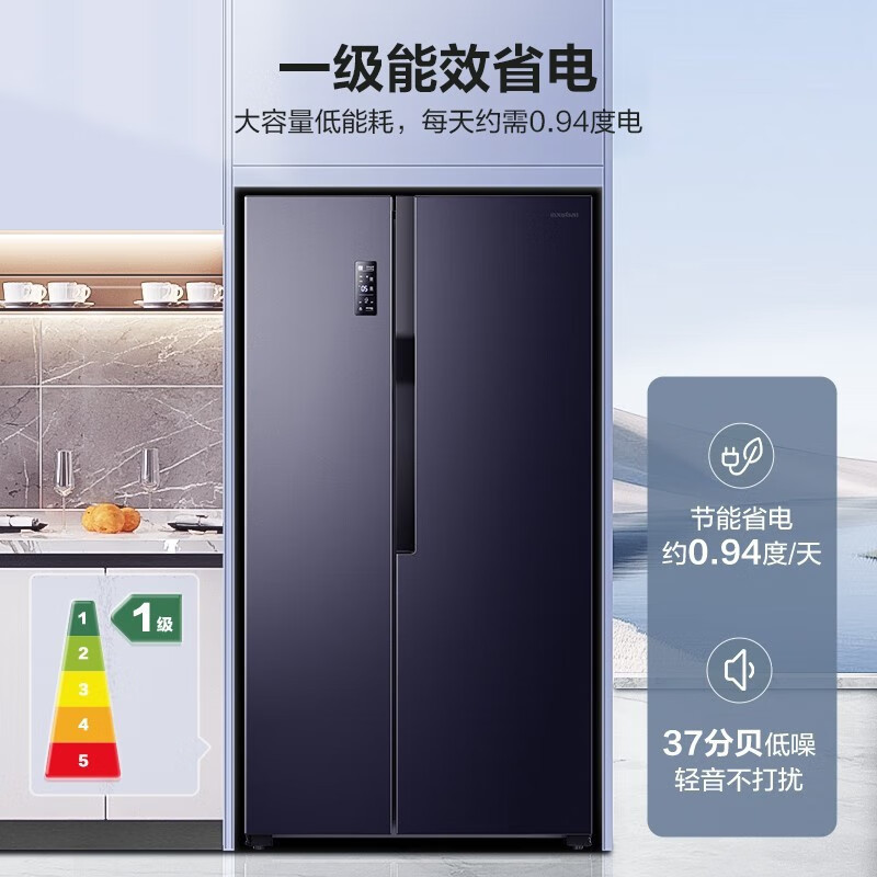 [官方自营]容声(Ronshen)609升变频一级能效对开双门冰箱家用无霜离子除菌大容量嵌入式BCD-609WD11HP