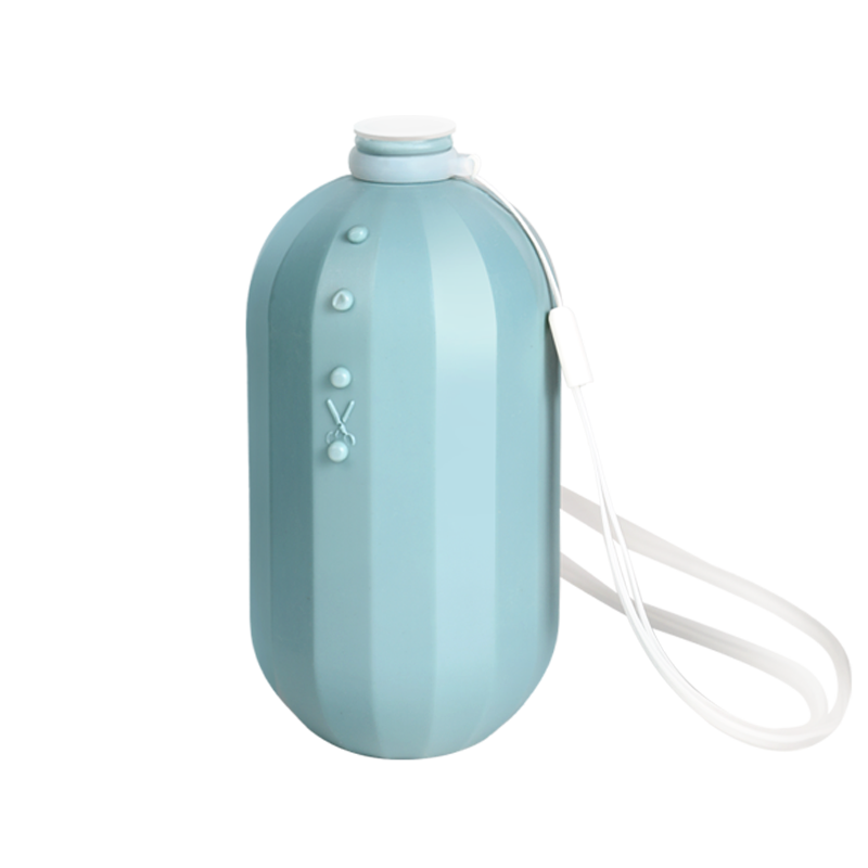 绿之源(GREEN SOURCE) 马桶洁厕宝 Z-8132 250g