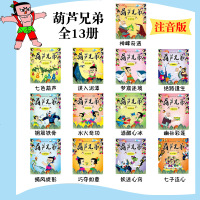 黑猫警长全集全套5册+葫芦兄弟完整13册 18册 注音版动画中国经典 儿童绘本3-6-7-8周岁故事书籍 幼儿园连
