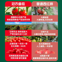冠农股份(GUAN NONG SHARE)新疆番茄丁去皮整番茄罐头400g*5罐西红柿丁绿色食品番茄酱