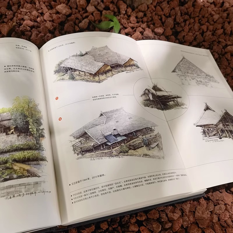[正版]景迈山:古茶林文化景观巡礼 全方位解析全球茶文化世界遗产景迈山的文化景观 左靖 编 艺术其它艺术 上海人民美术出高清大图