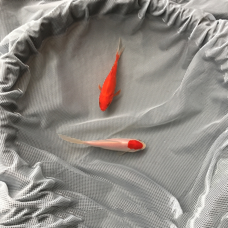雨衣雨裤套装长款全身男女分体电动车时光旧巷外卖骑行反光暴雨雨披