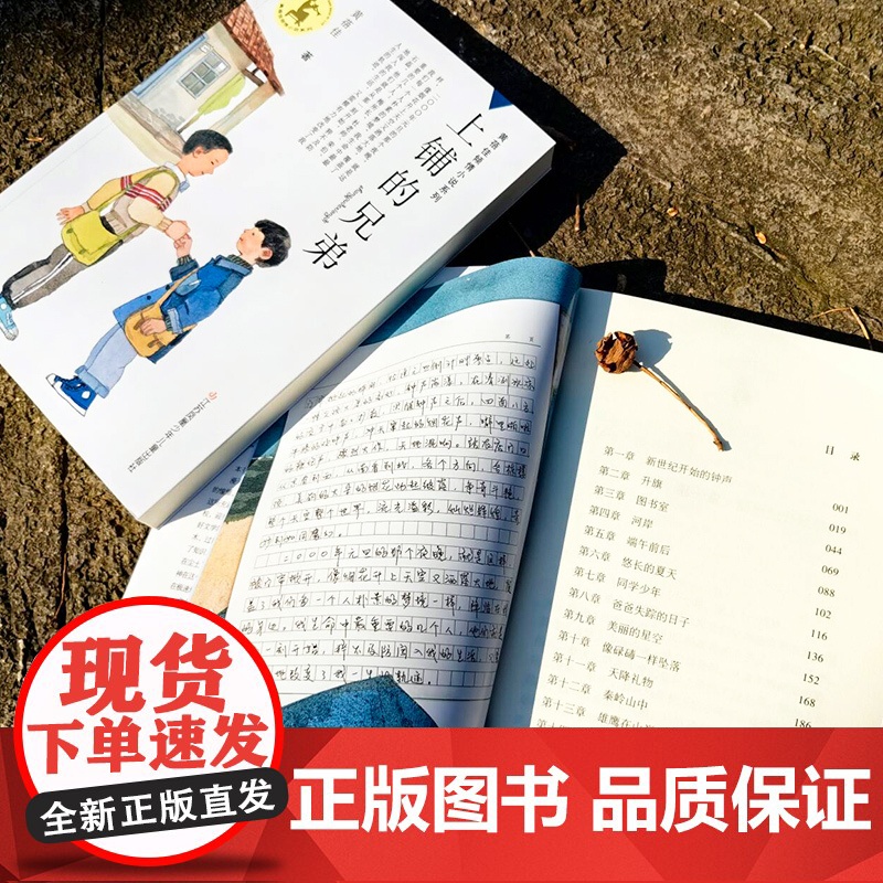 上铺的兄弟 黄蓓佳倾情小说系列2025新作 教育理想 通识教育 儿童成长高清大图